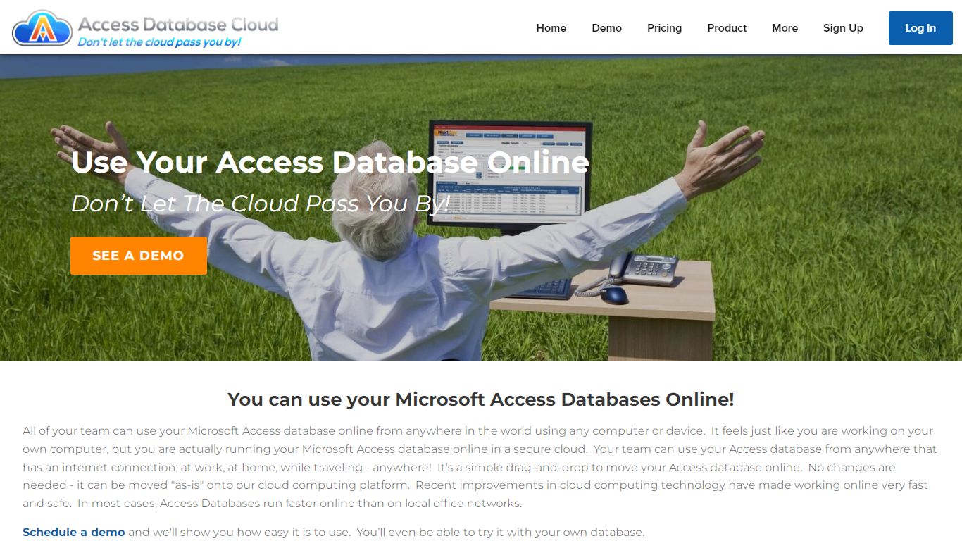You can use your Microsoft Access Databases Online!